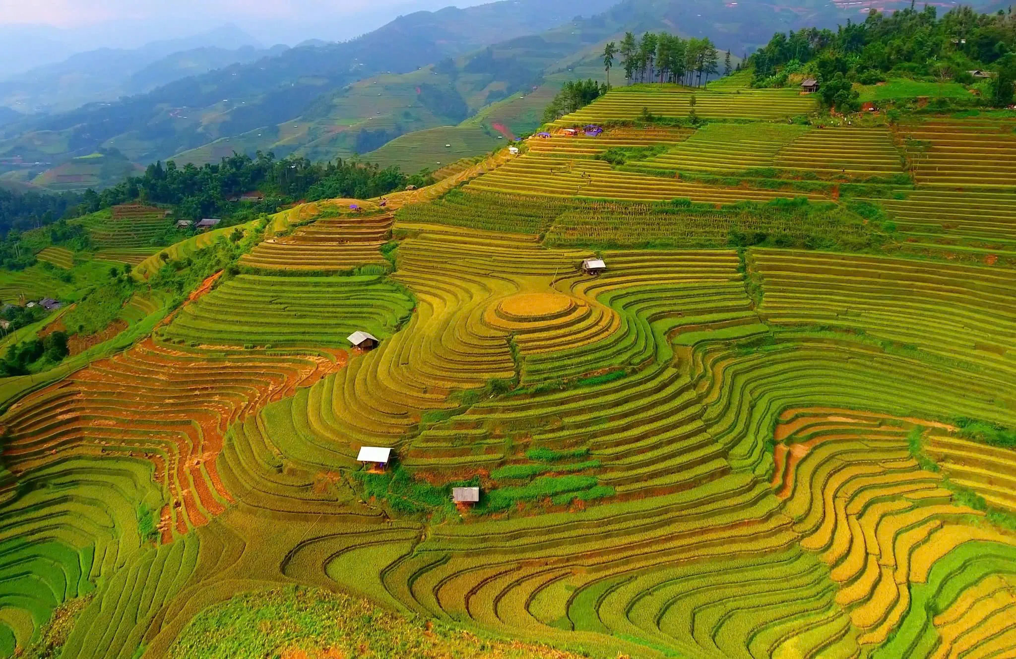 Ruộng bậc thang nhìn từ xa