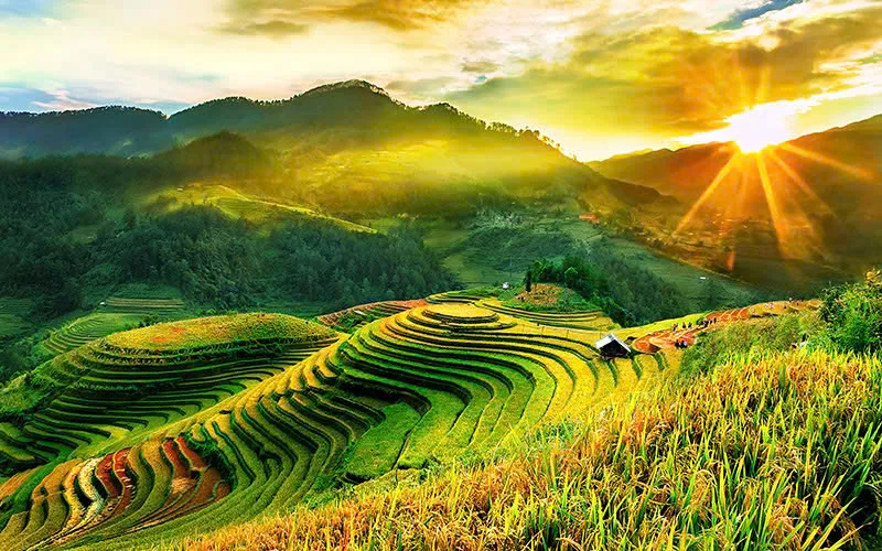 Hướng dẫn viên và khách