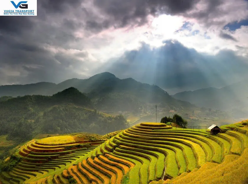 Ly bên hồ nước