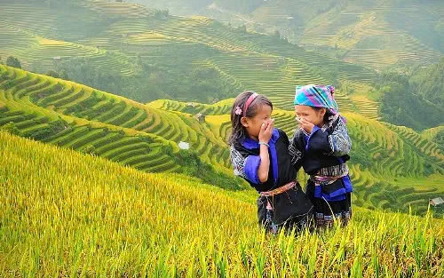 Cô gái H'Mông với hoa