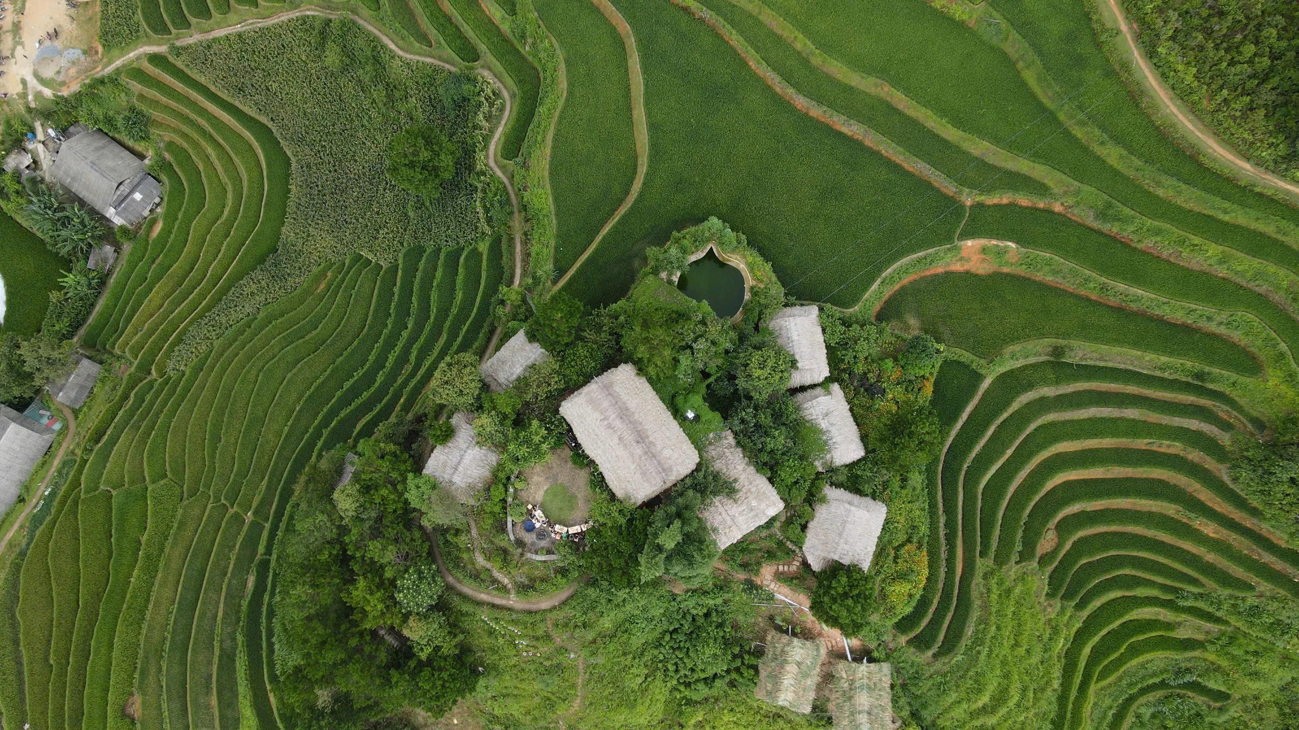 Bungalow Hello Mu Cang Chai nhìn từ trên cao