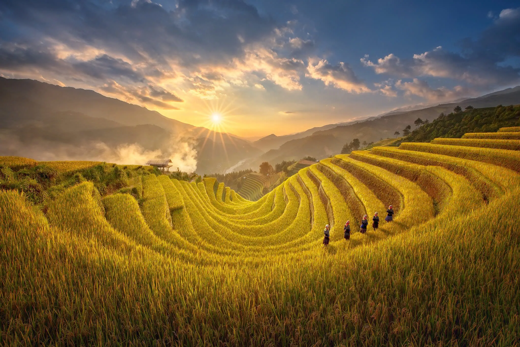 Ruộng bậc thang mùa vàng