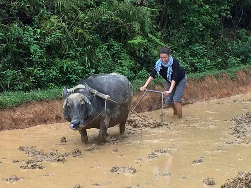 Thủ công H'Mông